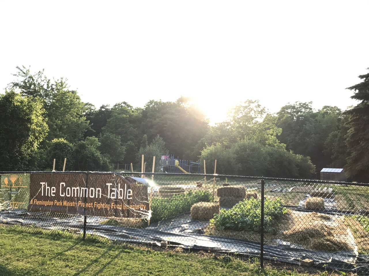 The Common Table Farm